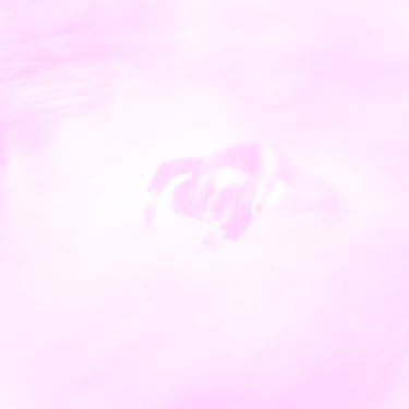 Laenz - Letter
