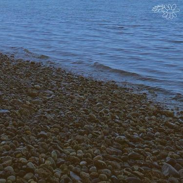 defsharp - tides