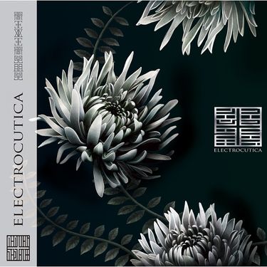 ELECTROCUTICA - REVERSUS