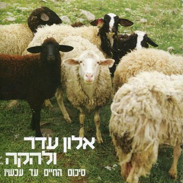 אלון עדר ולהקה - סיכום החיים עד עכשיו