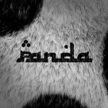 Casar - Panda