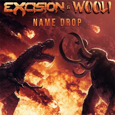 Excision & Wooli - Name Drop