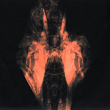 Arthur Robert - Singularity