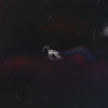 Dissy - bugtape