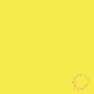 NohpetS - Sponge