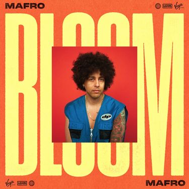 Mafro - Bloom