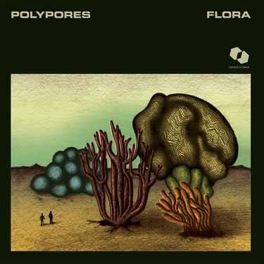 Polypores - Flora
