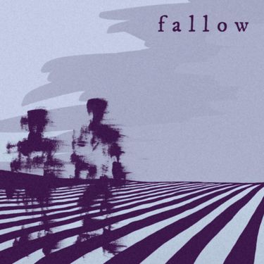 Primrose - Fallow