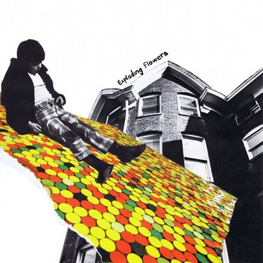 Exploding Flowers - Exploding Flowers