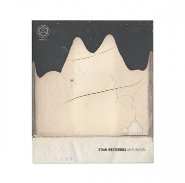 Stian Westerhus - Amputation