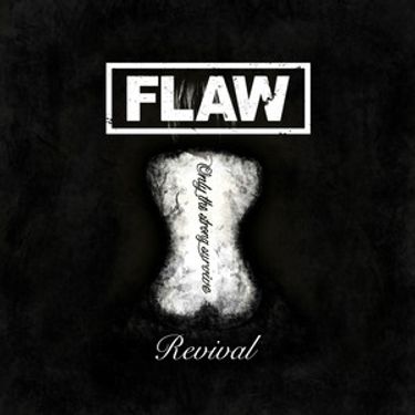 Flaw - Broken