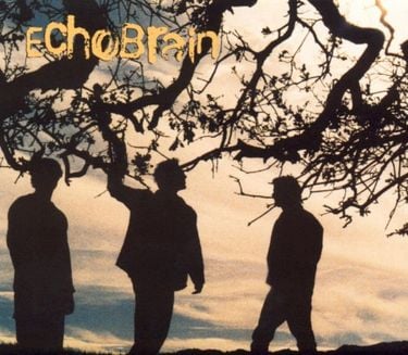 EchoBrain - EchoBrain