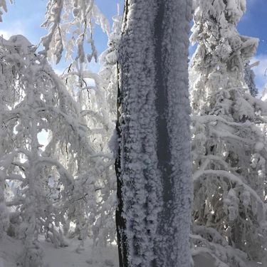 1oneam - winter
