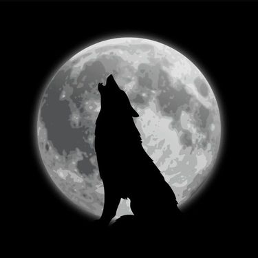 ASHYWUFF! - SKYWALKING