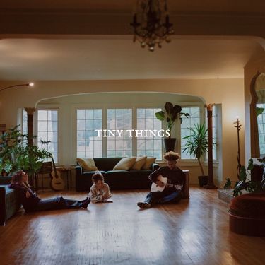 Tiny Habits - Tiny Things