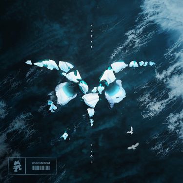 hayve - Flow
