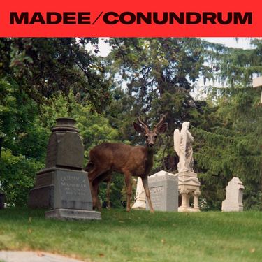 MADEE - Conundrum