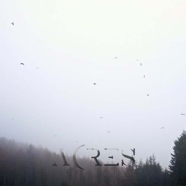Acres - Solace
