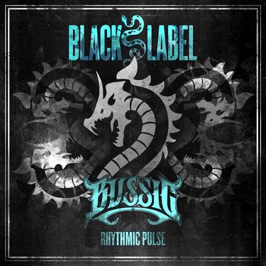 BVSSIC - Rhythmic Pulse