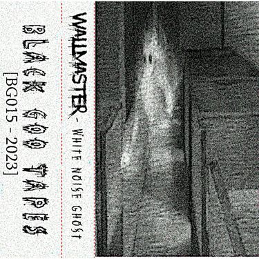 Wallmaster - White Noise Ghost