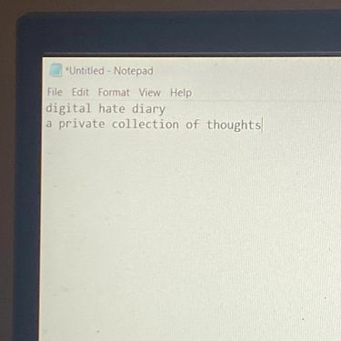 avon hill 2004 - digital hate diary
