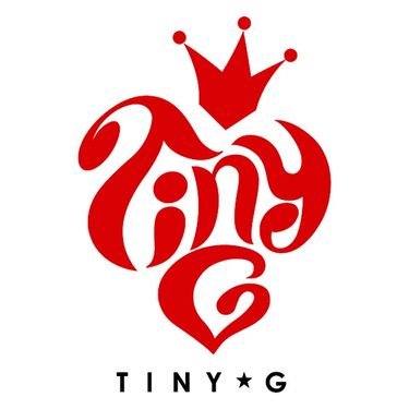 타이니지 [Tiny-G] - TINY-G