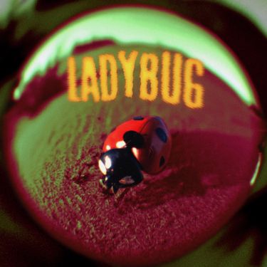Jutes - Ladybug
