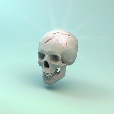 Electric Mantis - Braincase