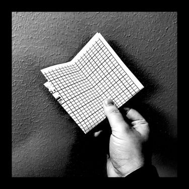 Nick Shutter - Report