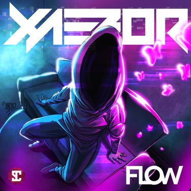XaeboR - Flow