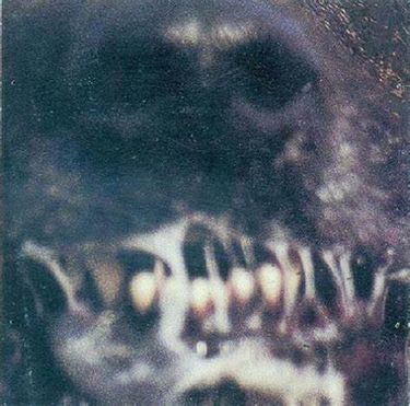 Genocide - Genocide