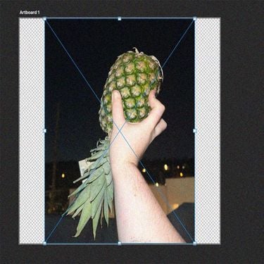 QUEEF JERKY - PINEAPPLE UPSIDE DOWN