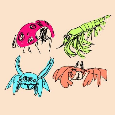 Lilac Boy - Bug2000