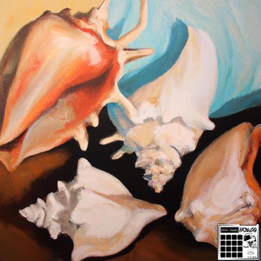 Caleb Scalzo - shells