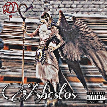 REDD40 - ASBESTOS