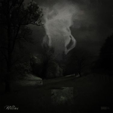 SSGKobe - Willows