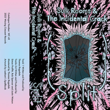 Sulk Rooms & The Incidental Crack - Split