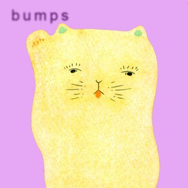 Driver - Bumps