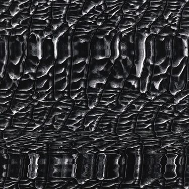 Hecq - Form