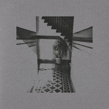The Cherry Wave - Shimaru