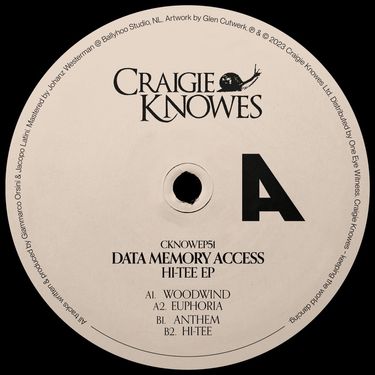 Data Memory Access - Hi-Tee
