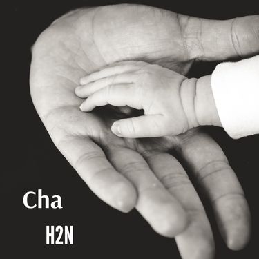 H2N - Cha