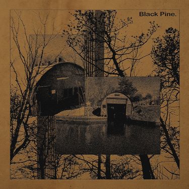 Black Pine - Black Pine