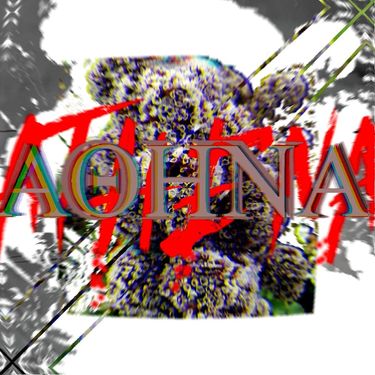 Jedwill - Athena