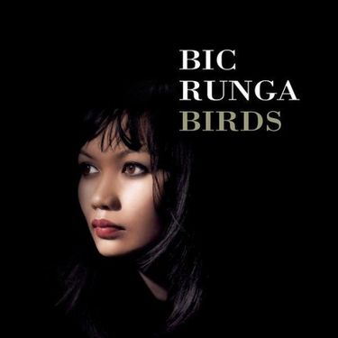 Bic Runga - Birds