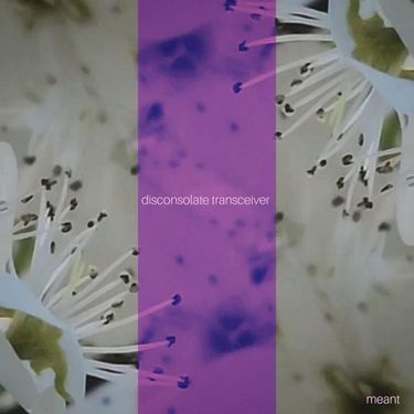 Meant. - disconsolate transceiver