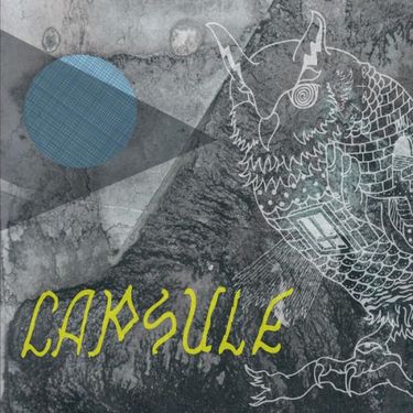 Capsule - No Ghost