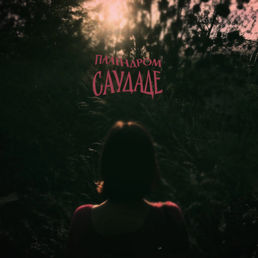 паліндром - Саудаде