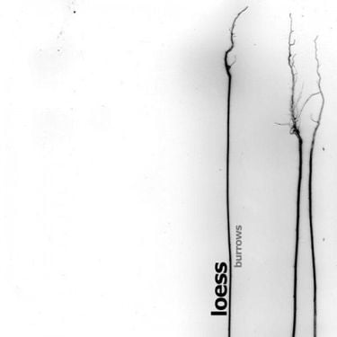 Loess - Burrows