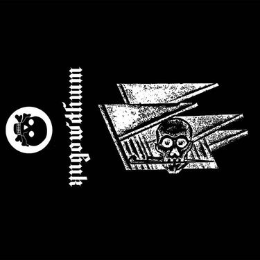 Штурмовик - Demo